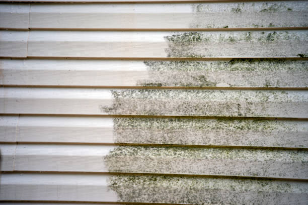 Best Custom Siding Design  in Nashua, NH