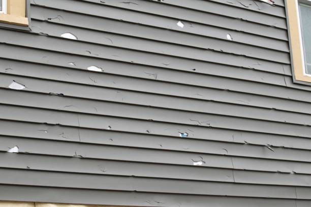 Best Wood Siding Installation  in Nashua, NH