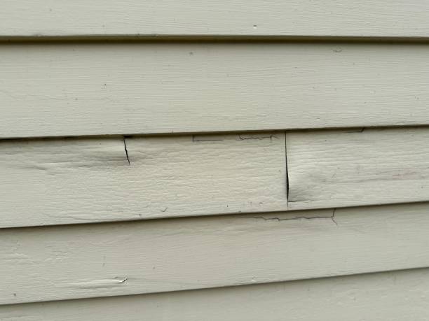 Best Stucco Siding  in Nashua, NH